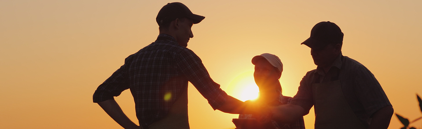 An attorney shaking hands with clients in a field at sunset.