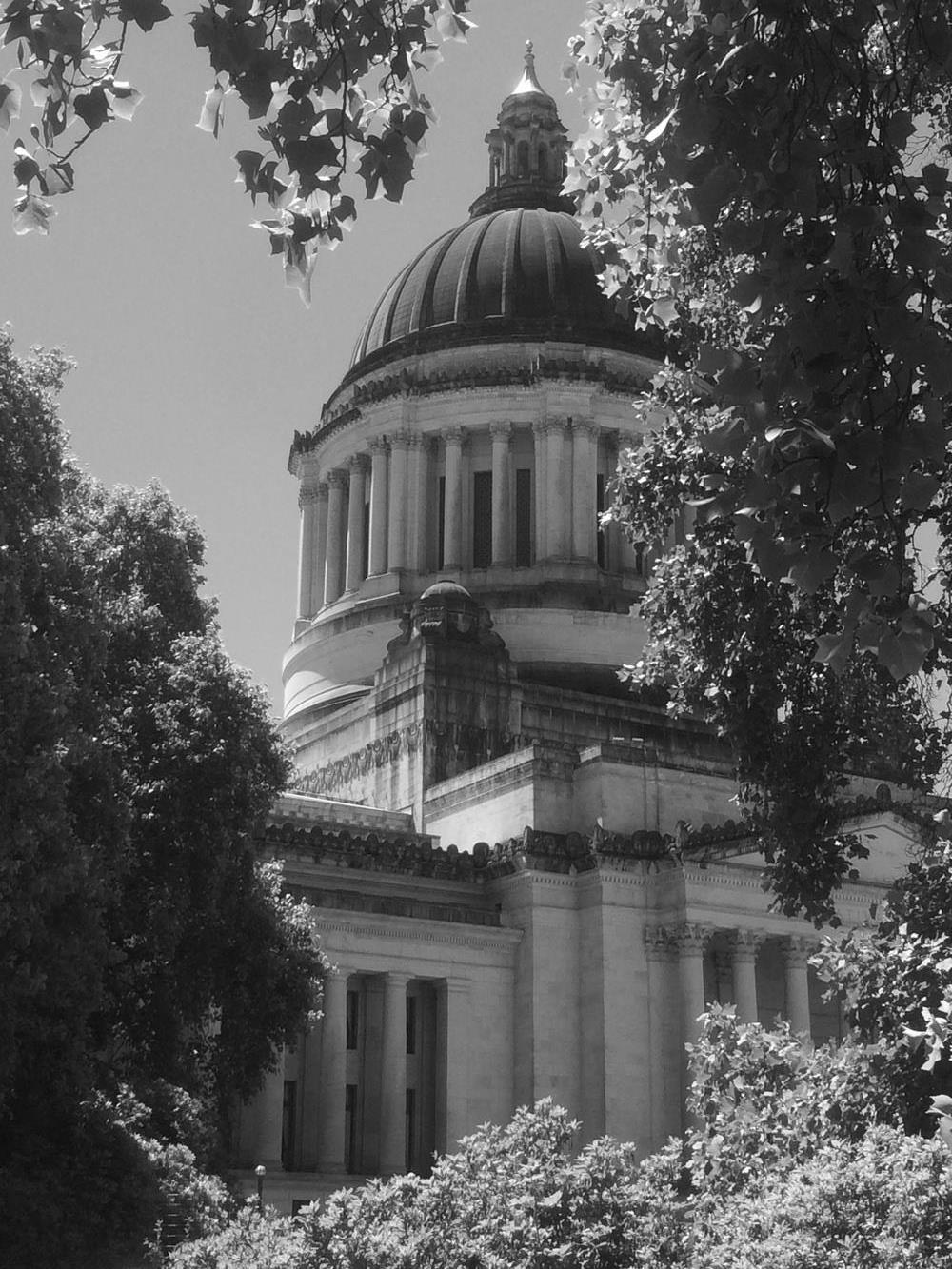 Capitol Dome - CAM